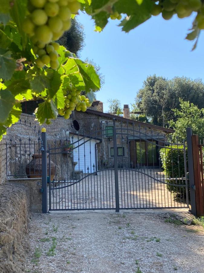 Casetta Santa Fortunata Guest House Sutri Exterior foto